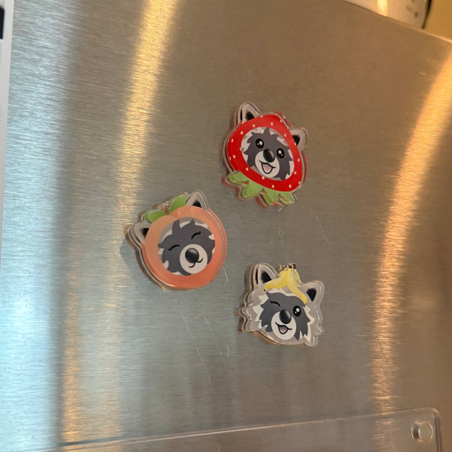 Fruity Bandits Acrylic Magnets